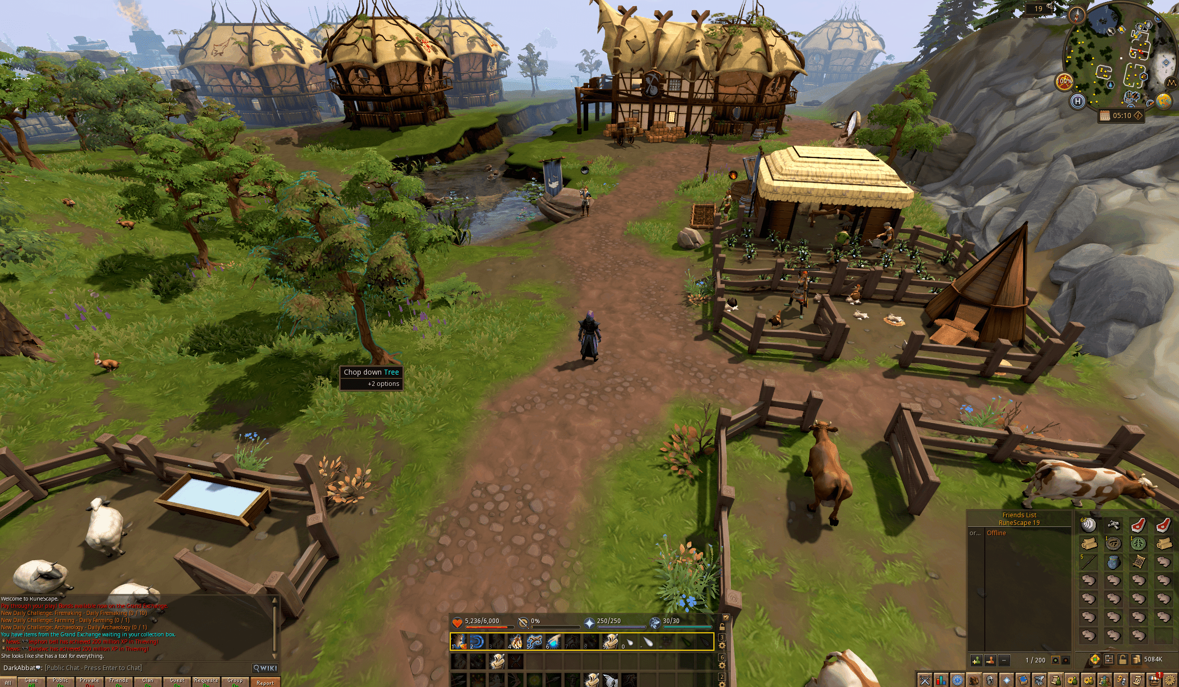 Old School RuneScape — гайд для новичка